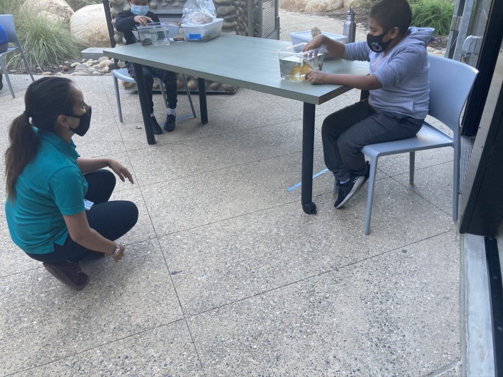 AmeriCorps Discovery Fellow meets with students in an outdoor setting.