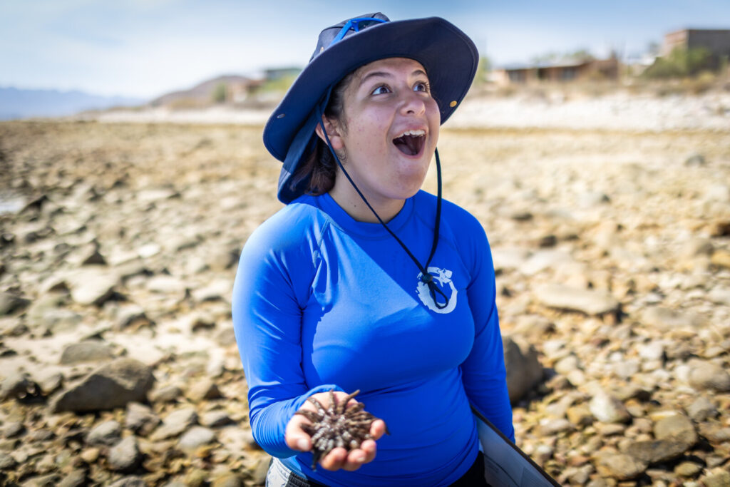 Girl in blue had and blue shirt holding a sea creature on the shore.