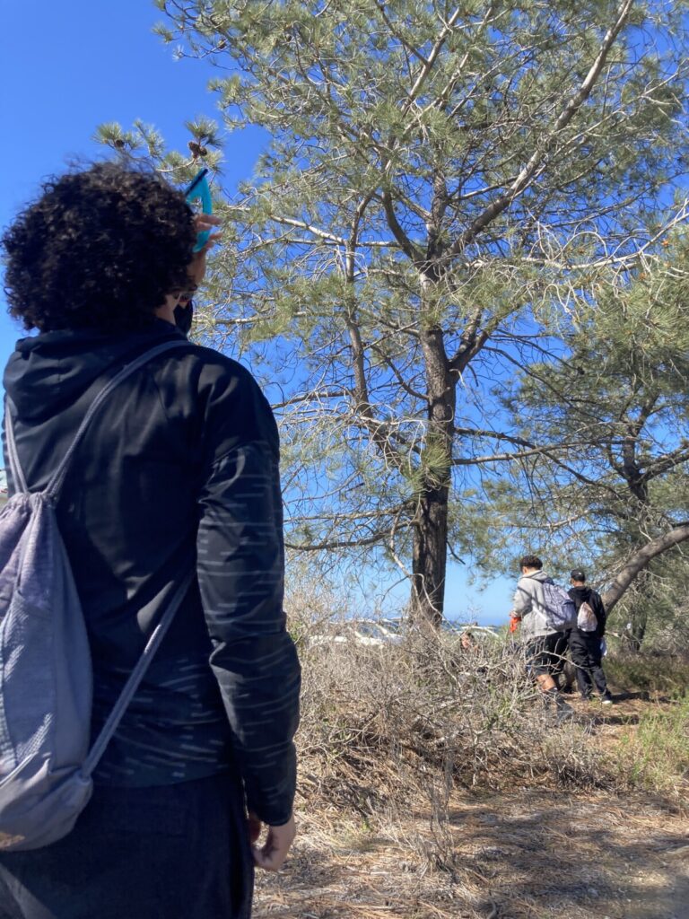 People hiking up a hill