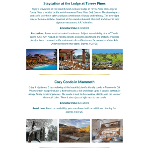 A flyer showcasing two travel package options. The first image promotes a staycation at The Lodge at Torrey Pines with details about accommodations, amenities, and restrictions. The second image advertises a cozy condo in Mammoth with accommodation details, included activities, and restrictions.